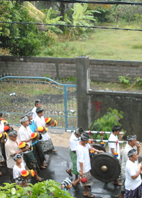 Bali Ceremoni