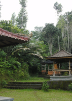 Bali Haus