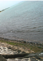 Lovina